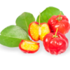FRUTA ACEROLA DOSADO  CX 20  X 100G   - FRUTAMIL